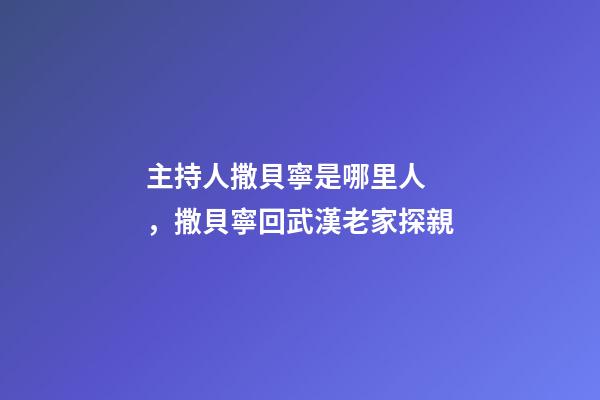 主持人撒貝寧是哪里人，撒貝寧回武漢老家探親-第1張-觀點-玄機派